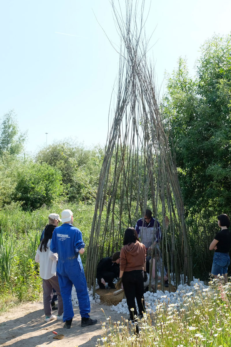 The Netherlands case study - Performance Art
